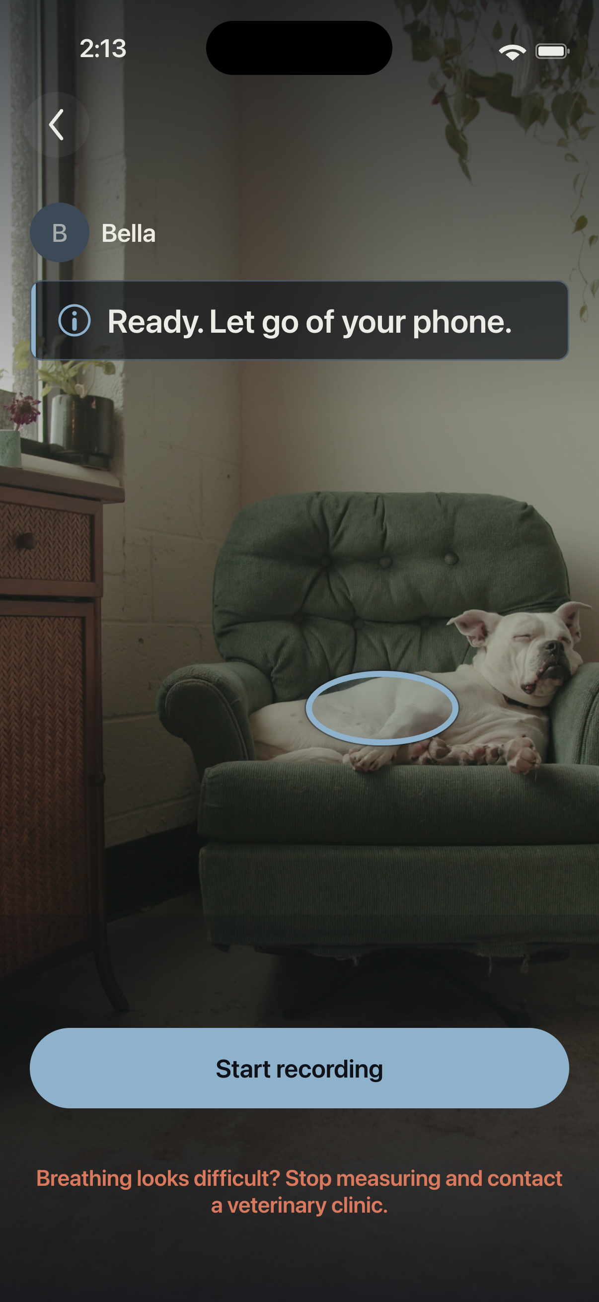 RestCount setup screen framing a sleeping dog's chest with a blue region marker.