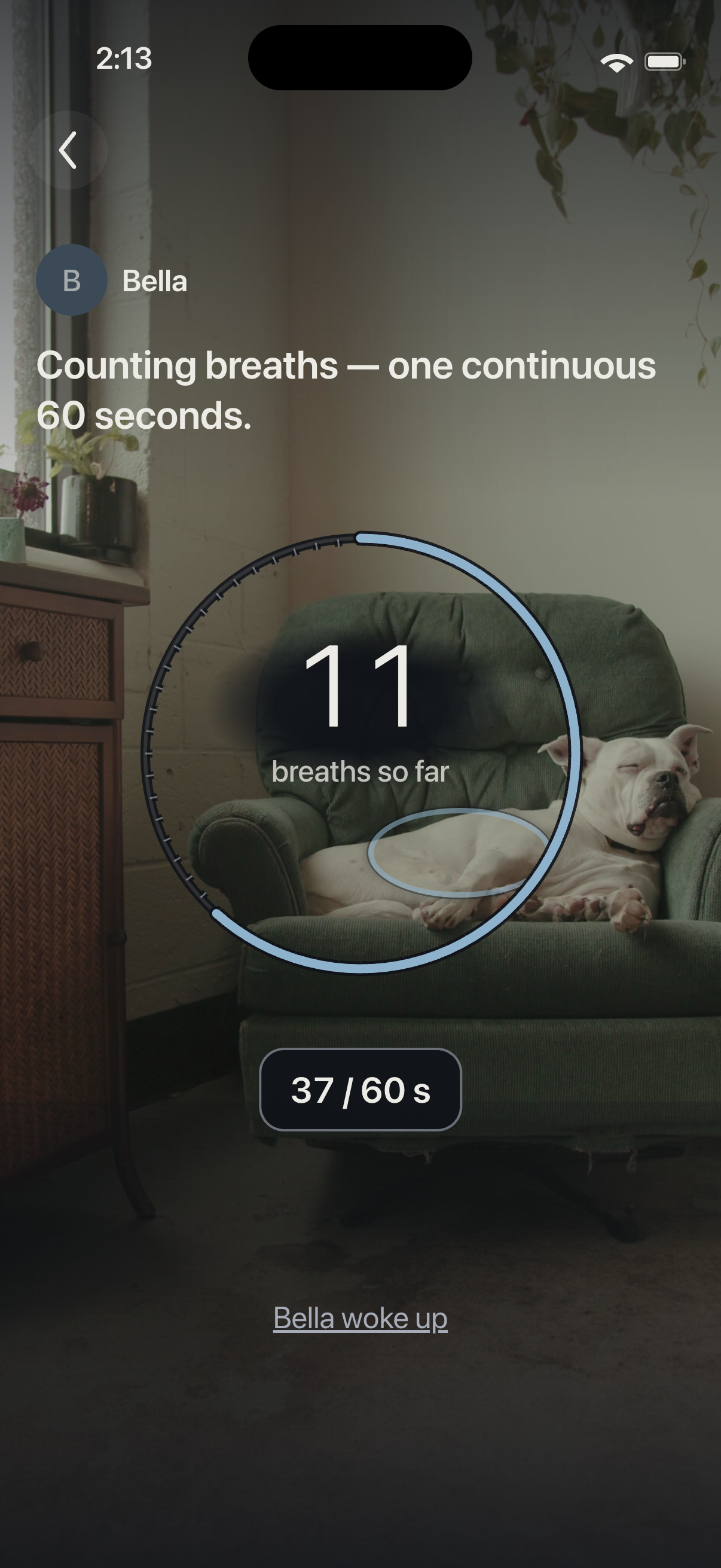 RestCount recording screen showing 37 of 60 continuous valid seconds.
