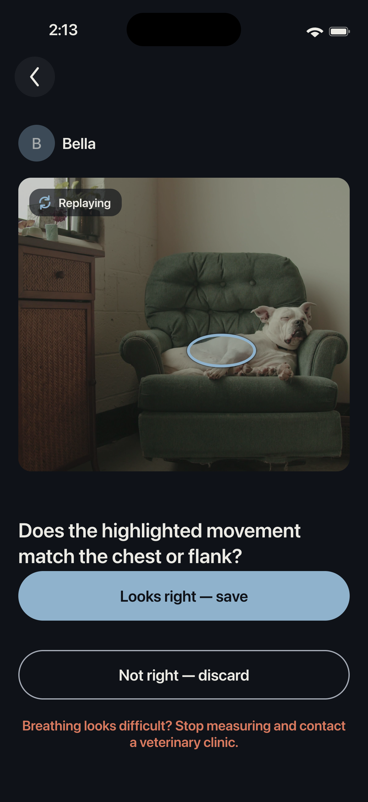 RestCount review screen asking whether the highlighted movement matches the dog's chest.